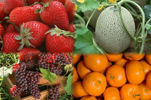 蒲郡オレンジパーク