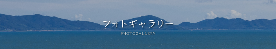 フォトギャラリー